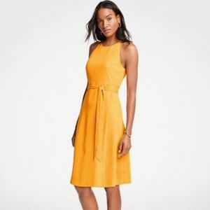 Ann Taylor Dress